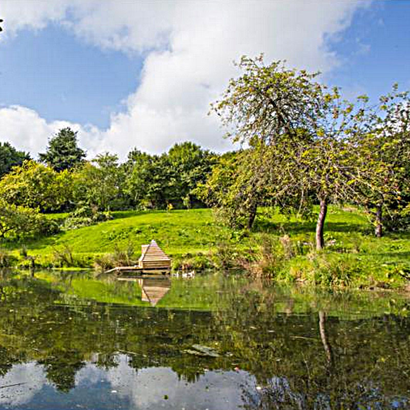 The Lily Pond at ANRÁN
